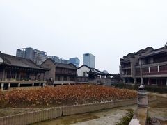 -龙潭水乡
