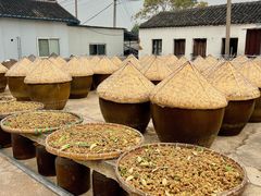 -苏州市吴中区光福窑上花果蜜饯厂