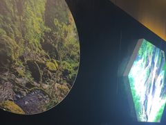 -富侨养生(九亭店)