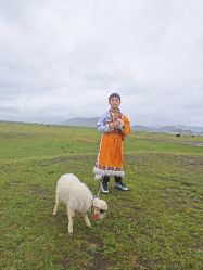 -纳帕海依拉草原