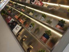 -CoCo都可(360丰产店)