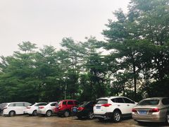 景观位-荔景渔庄