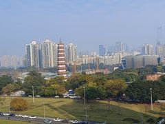 -小茶闲舍·观景商务茶馆(广州塔店)
