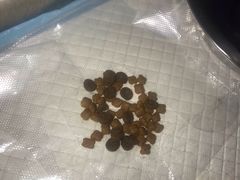 -美联众合爱康动物医院•复杂内科•肿瘤科•牙科•腔镜诊疗中心