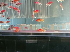 -阳光院坝小龙虾(红牌楼店)