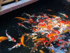 -侠成水上农庄(工业大道店)