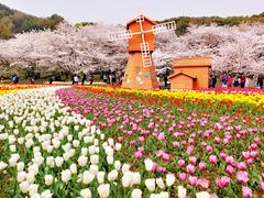 -苏州上方山国家森林公园