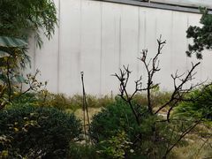 -绣园·茶食宴(湘绣博物馆店)