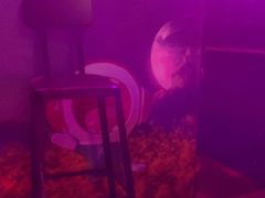 -唱吧麦颂KTV(松江五龙商业广场店)