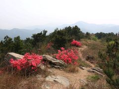 -木兰云雾山