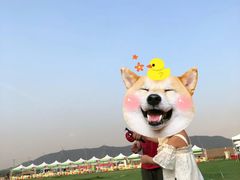 -光明小镇欢乐田园