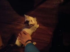 -蜉蝣酒吧(仓山万达店)