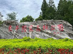 -东平国家森林公园