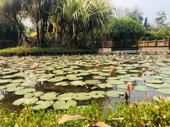 -中国科学院西双版纳热带植物园