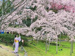 -醍醐寺