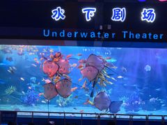 -泉城欧乐堡海洋极地世界