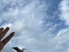 -深圳野生动物园
