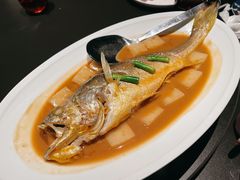 大黄鱼原条-三利音·玖弄小鲜(浦东嘉里城店)