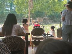 -上海野生动物园老虎餐厅