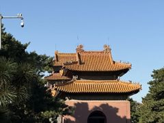 -北陵公园