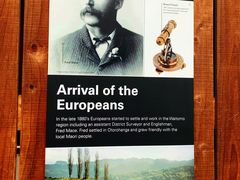 -怀托摩萤火虫洞