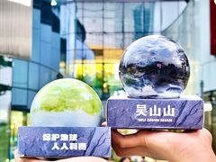 -吴山山·椰子酸奶(天河南店)