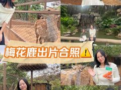 -森波拉奇妙世界