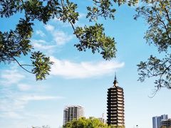 -西海子公园