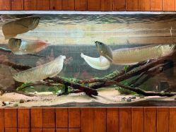 -Zoolung Zoolung动物主题公园(海信广场店)