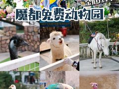 -J Create城市露营咖啡·简餐·宠物(上海动物园店)