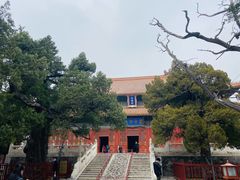 -北京国子监胡同
