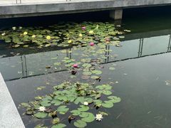 -东南大学(九龙湖校区)