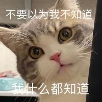 -长藤鬼校(龙翔店)