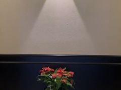 -涟LIAN·泰式按摩·MASSAGE·SPA(深业上城店)