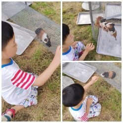 -萌宠亲子动物乐园(槐房万达店)