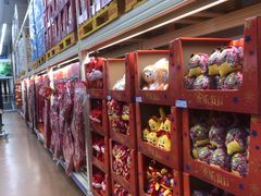 -麦德龙(十里河店)