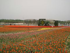 -廊坊文化艺术中心