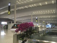 -广州白云国际机场-T2航站楼