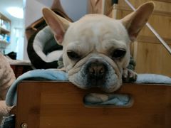 -Meowの猫咖(万家丽店)