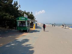-日照海滨国家森林公园