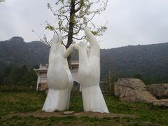 甲印-大阳山国家森林公园