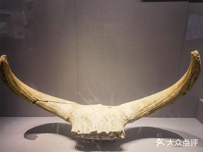 赤峰博物馆图片