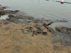 -碧海金沙
