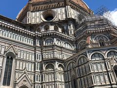 -圣母百花大教堂穹顶