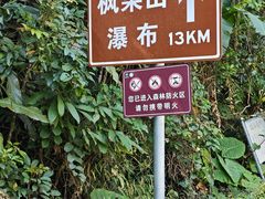 -海南热带雨林国家公园吊罗山景区