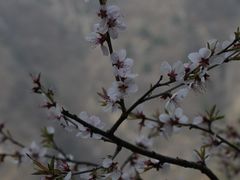 -圣莲山风景区