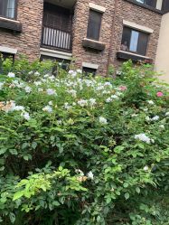 点击看大图 -芙蓉花月子会所(朝阳区店)