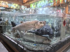 -传统菜农庄(皇姑路店)