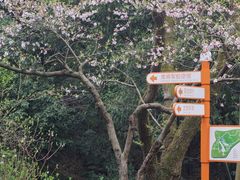 -杭州少年儿童公园