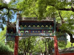 -北京国子监胡同